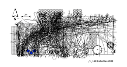 All butterfly visit flight paths in the observation season of 2000. Distinct corridors of activity are noticeable both across and along the garden. 